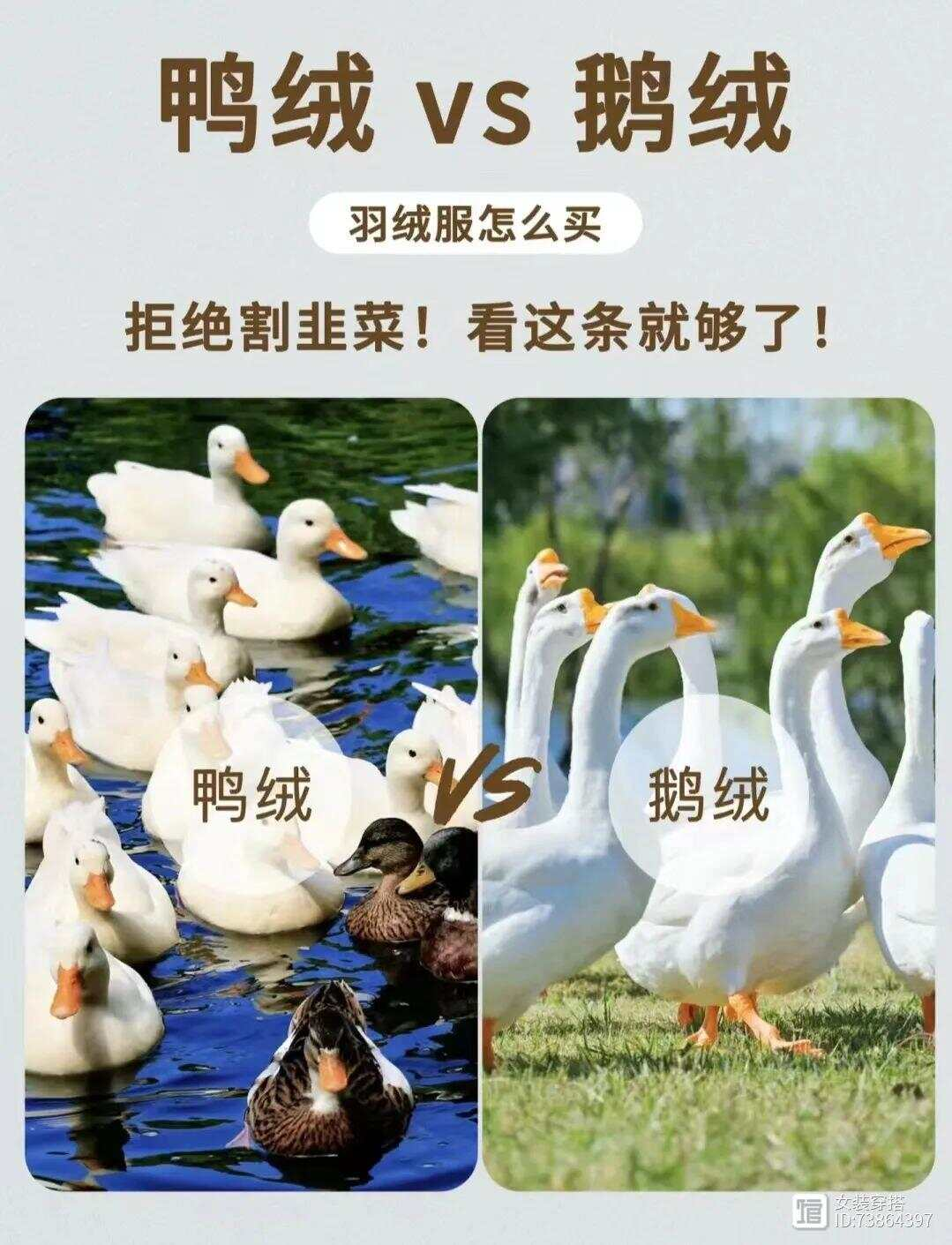 1736303439372942.png