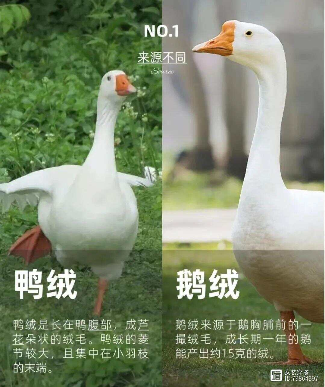 1736303466191709.png